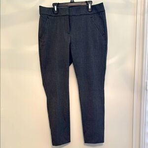 Loft Petite Marisa Skinny Pant Size 10p